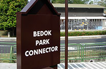 bedok ico